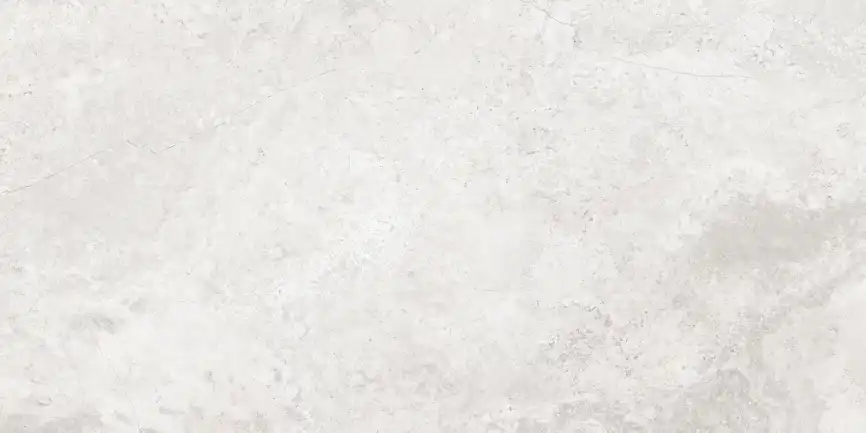 Керамогранит AZARIO CALLIZA SILVER 60х120 Matt (F4110821130M) фото 1