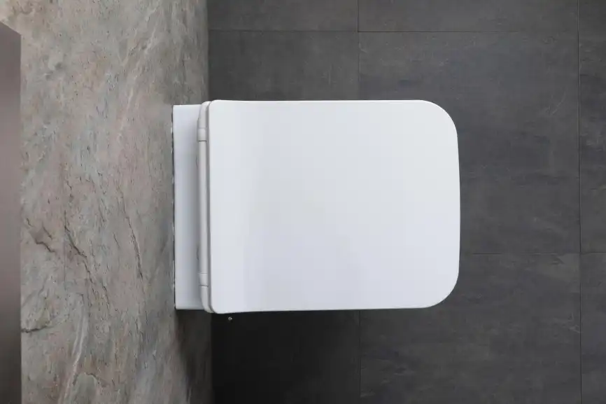 Подвесной унитаз Allen Brau Liberty 4.33009.20 безободковый, цвет белый фото 10