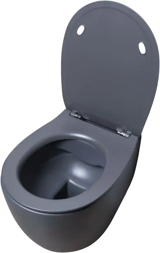 Подвесной безободковый унитаз Allen Brau Fantasy 4.11004.AN без сиденья, антрацит фото 13