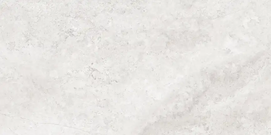 Керамогранит AZARIO CALLIZA SILVER 60х120 Matt (F4110821130M) фото 4