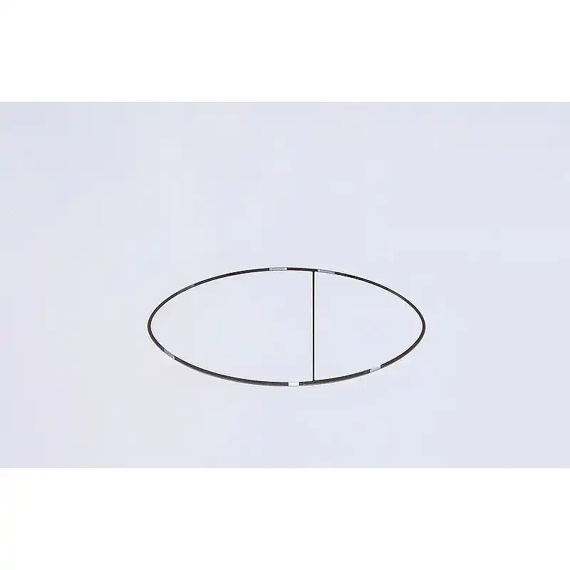 Кнопка смыва Logan Oval двойная, White (297677) фото 1