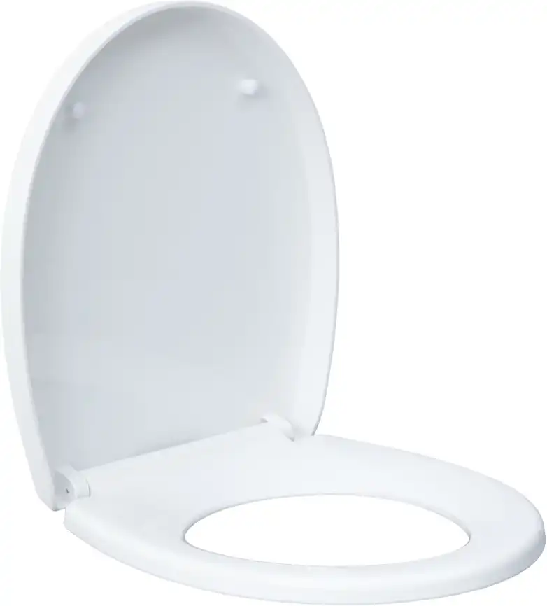 Унитаз подвесной Aquanet ZV-1 с сиденьем микролифт, белый фото 7