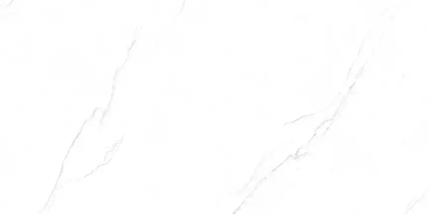 Керамогранит AZARIO VALENCIA WHITE 80х160 Matt (P231123009M) фото 1