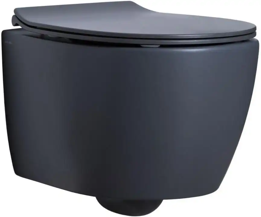 Подвесной безободковый унитаз Allen Brau Fantasy 4.11004.AN без сиденья, антрацит фото 1