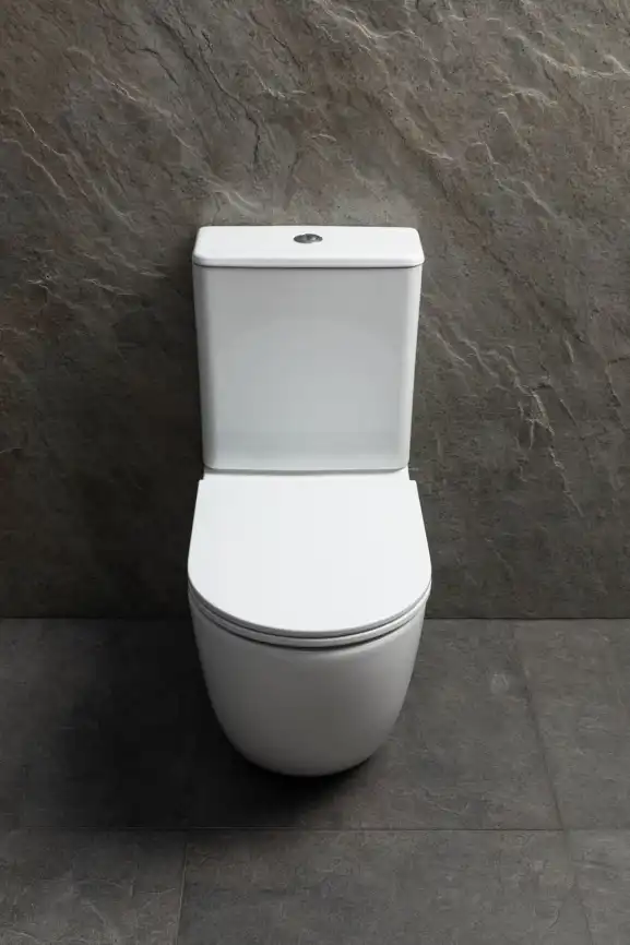 Напольный унитаз Allen Brau Priority Tornado 4.31006.20 безободковый, цвет белый глянец фото 9