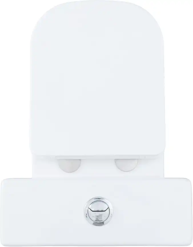 Чаша напольного унитаза Aquanet Fine Rimless FINE-C Soft Close с сиденьем микролифт фото 17