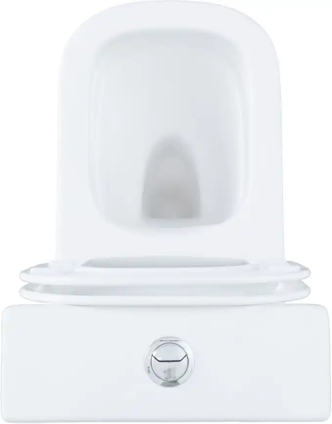 Чаша напольного унитаза Aquanet Fine Rimless FINE-C Soft Close с сиденьем микролифт фото 18