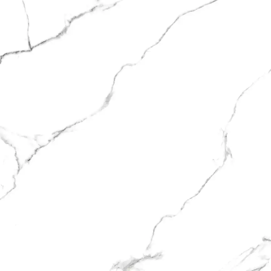 Керамогранит AZARIO CALACATTA  ELEGANZA 60х60 Glossy (F109082189G) фото 16