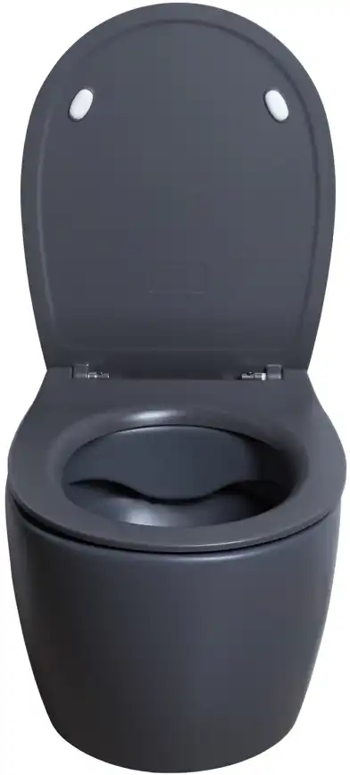 Подвесной безободковый унитаз Allen Brau Fantasy 4.11004.AN без сиденья, антрацит фото 6