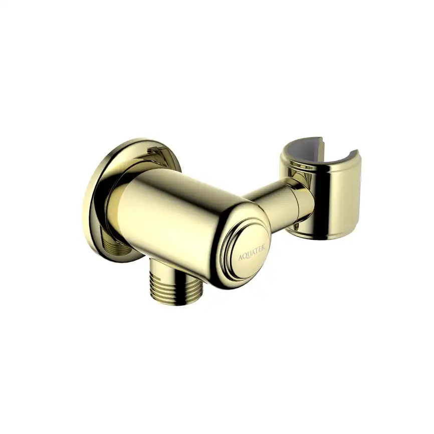 Шланговое подключение Aquatek КЛАССИК AQ2462PG, Золото глянцевое фото 1