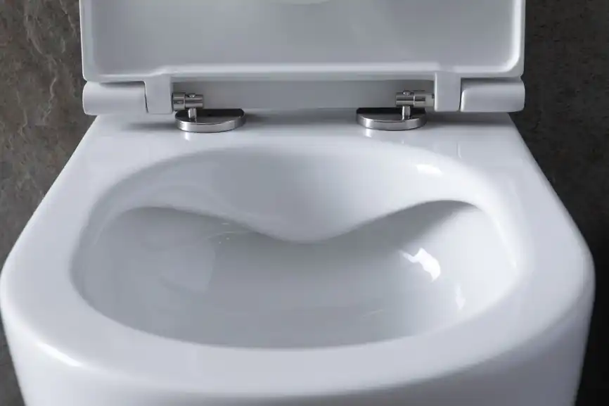 Подвесной безободковый унитаз Allen Brau Reality 4.32006.20 без сиденья, белый глянец фото 12