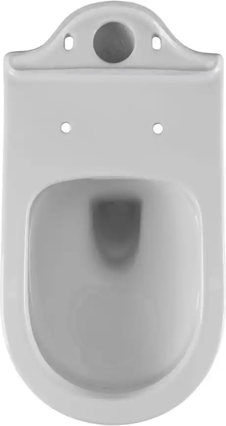 Чаша напольного унитаза Aquanet Ray-C с сиденьем микролифт, белый фото 6