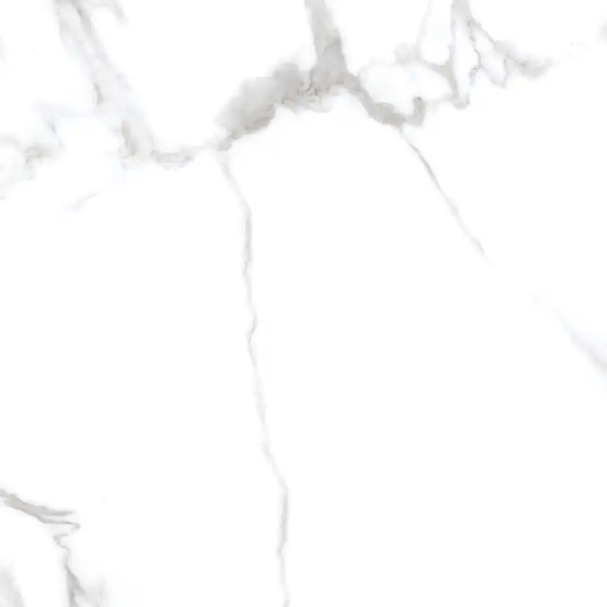 Керамогранит AZARIO DESERT STATUARIO 60x60 Matt (P3211112134M) фото 11