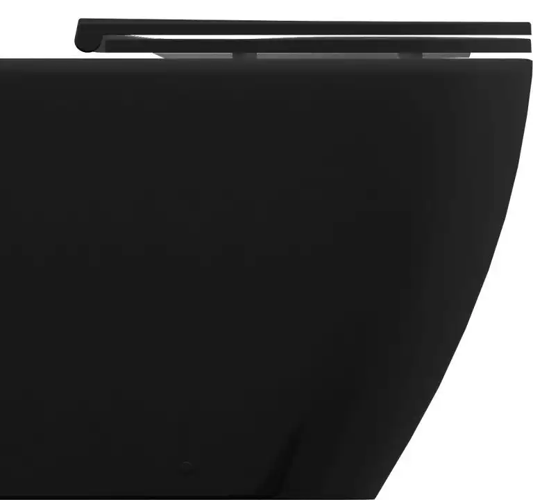 Приставной унитаз Allen Brau Reality 4.32004.31 черный матовый фото 1