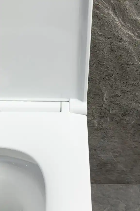 Подвесной унитаз Allen Brau Priority Tornado 4.31009.20 безободковый, цвет белый глянец фото 6