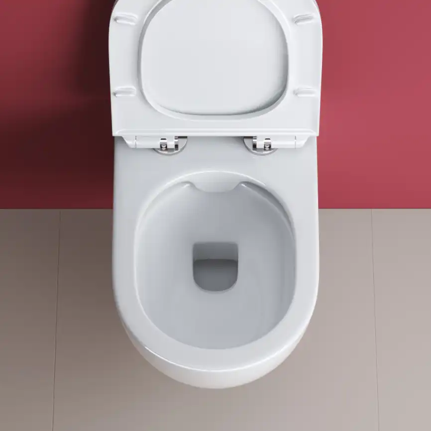 Подвесной унитаз CEZARES MOLVENO CZR-2468-TH-R безободковый, белый фото 7