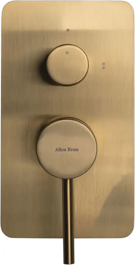 Смеситель для душа Allen Brau Priority 5.31011-GB (с внутренней частью, 2 выхода) золото фото 4
