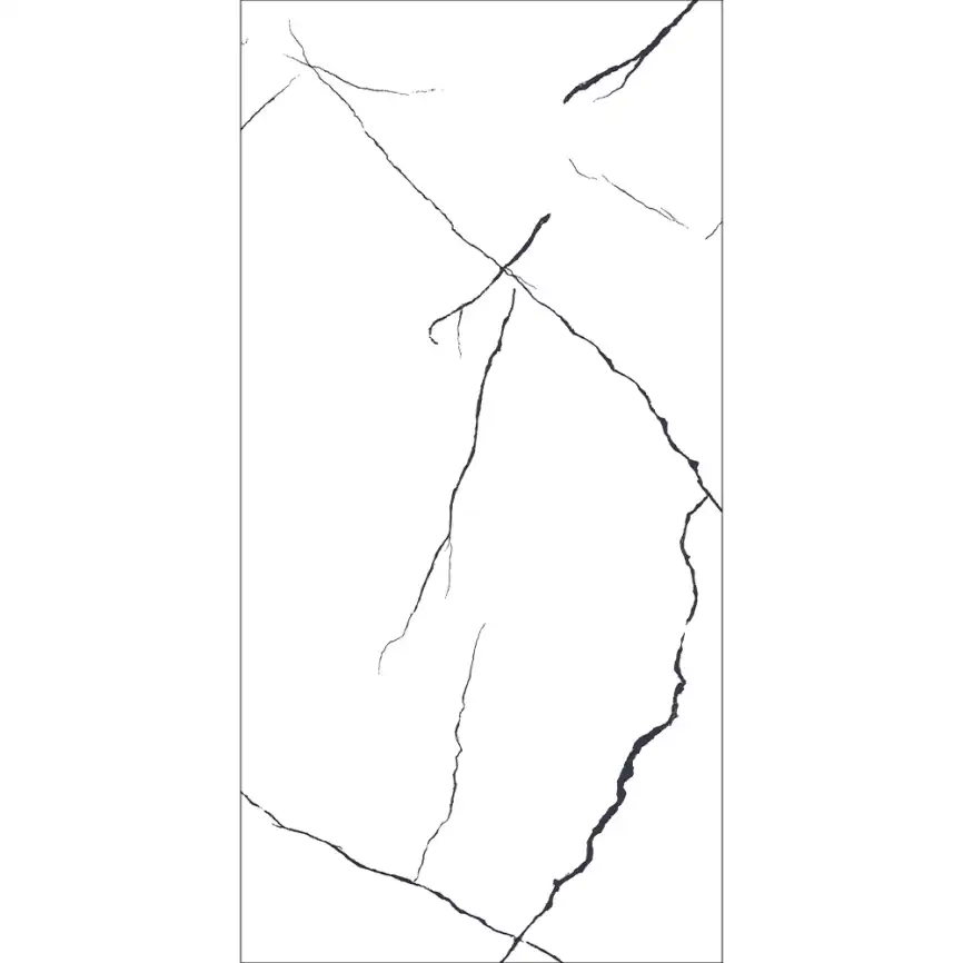 Керамогранит AVS Bettal Black 60x120 полированный, белый фото 4