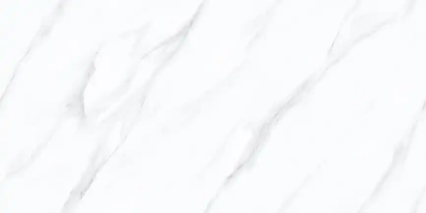 Керамогранит AZARIO STALLAR WHITE 60х120 Carving (P4110821139) фото 1