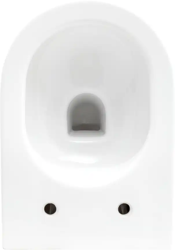 Подвесной безободковый унитаз Allen Brau Reality 4.32006.20 без сиденья, белый глянец фото 5