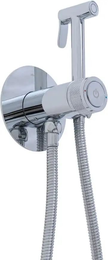 Смеситель с гигиеническим душем Allen Brau Liberty 5.33005-00 (с внутренней частью) хром фото 1