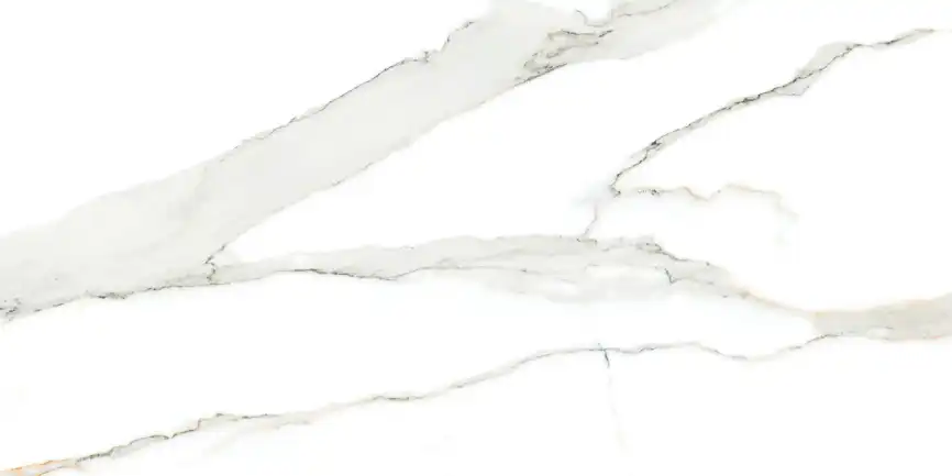 Керамогранит AZARIO STATUARIO GOLD 60х120 Matt (F2030821120M) фото 2