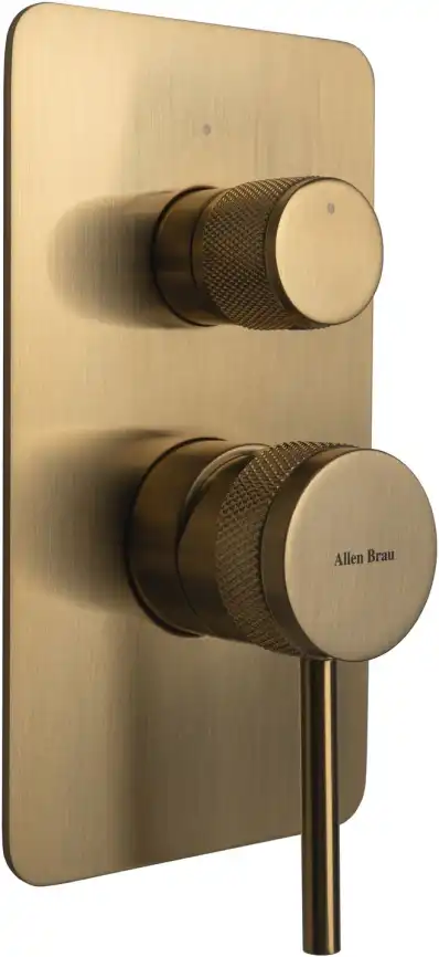 Смеситель для душа Allen Brau Priority 5.31011-GB (с внутренней частью, 2 выхода) золото фото 1