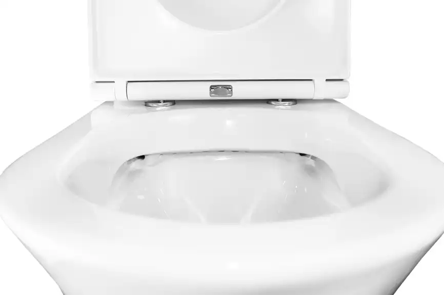 Унитаз - компакт Azario Dante AZ-93589 напольный, безободковый с сиденьем микролифт фото 6
