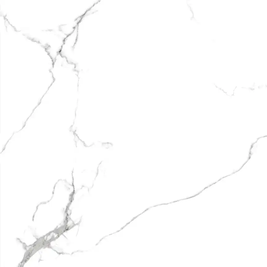 Керамогранит AZARIO CALACATTA  ELEGANZA 60х60 Glossy (F109082189G) фото 9