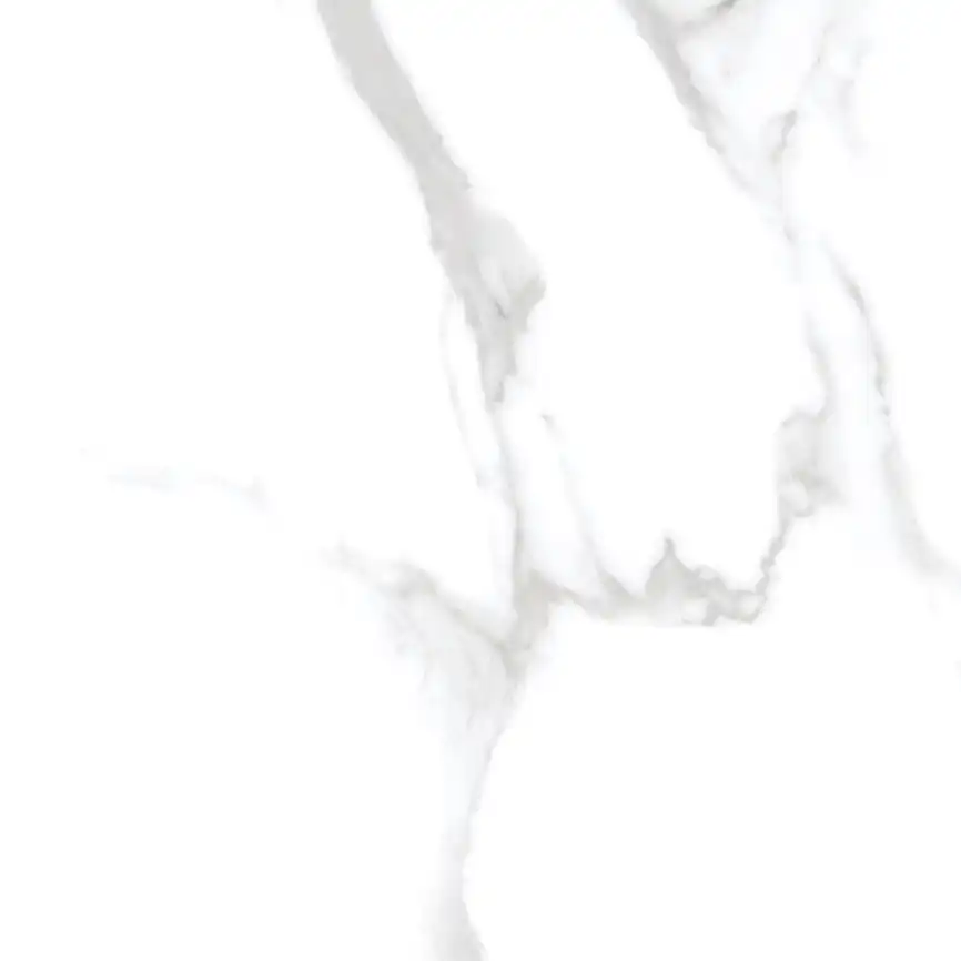 Керамогранит AZARIO DESERT STATUARIO 60x60 Matt (P3211112134M) фото 8