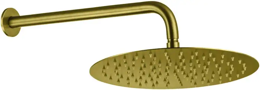 Верхний душ Allen Brau Priority 5.31A17-GB золото брашированное фото 1
