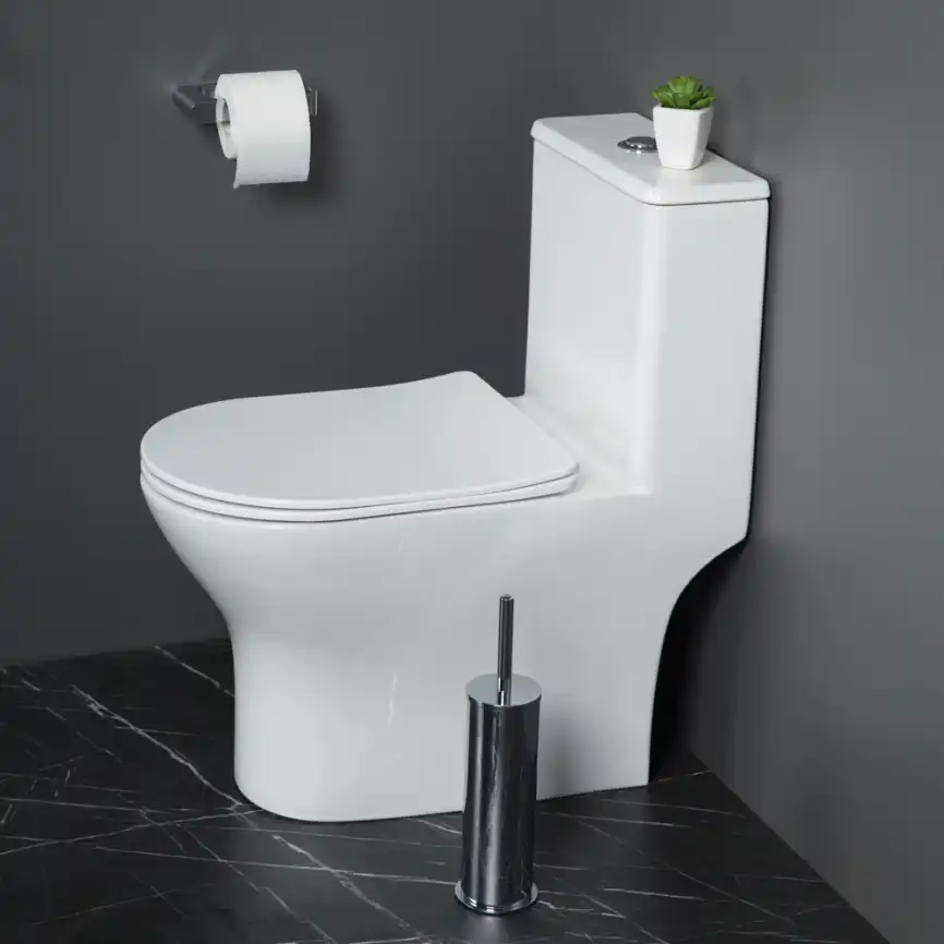 Унитаз-моноблок BelBagno LOUNGE BB8618CPR-MN/SC, безободковый, с сиденьем микролифт, Белый фото 5