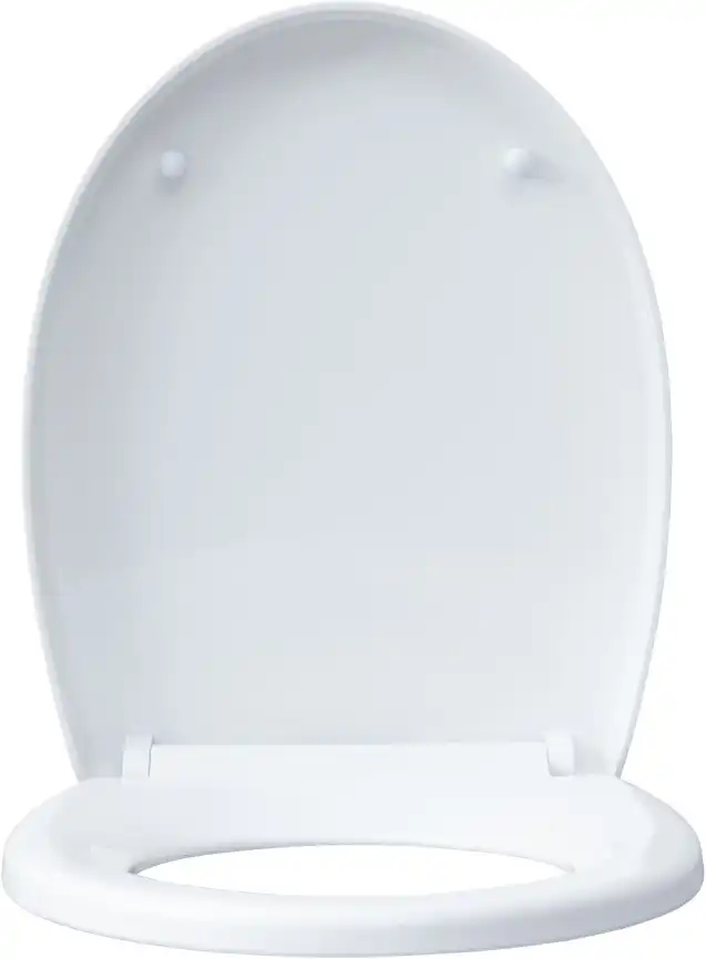 Унитаз подвесной Aquanet ZV-1 с сиденьем микролифт, белый фото 3