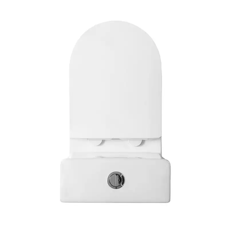 Унитаз-моноблок BelBagno LOUNGE BB8618CPR-MN/SC, безободковый, с сиденьем микролифт, Белый фото 9