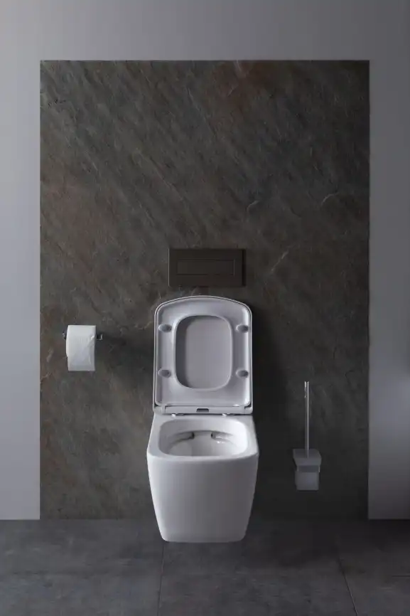 Подвесной безободковый унитаз Allen Brau Liberty 4.33004.20 без сиденья, белый глянец фото 15