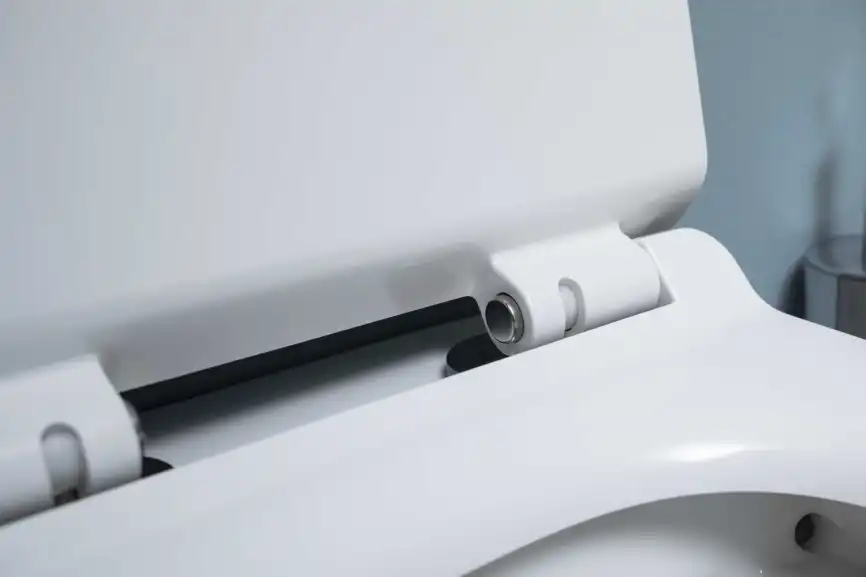 Унитаз подвесной Aquanet Rimless Cetus W Short LX-1900, с сиденьем микролифтом фото 11