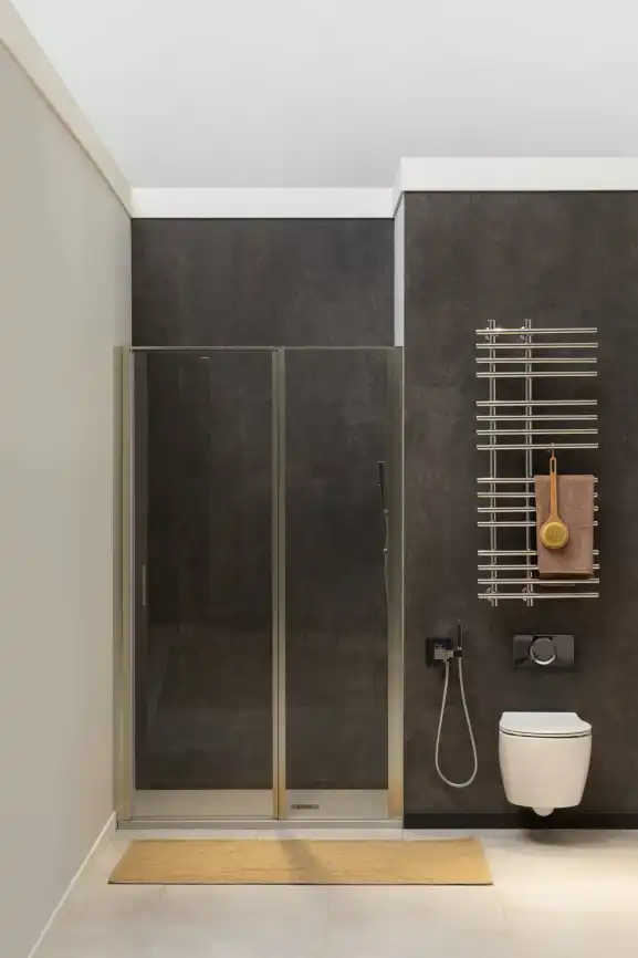 Душевая дверь Allen Brau Priority 100 см, 3.31029.BA, профиль Серебро, стекло Прозрачное фото 3