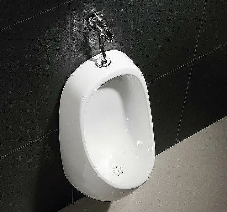 Писсуар подвесной CeramaLux X541P с кнопочным механизмом смыва, с горизонтальным выпуском фото 4