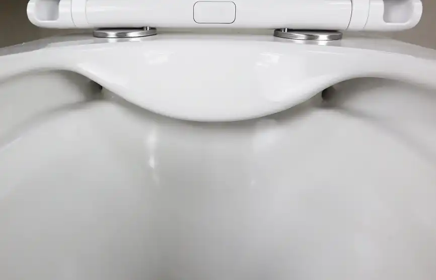 Подвесной унитаз Azario Pro PRO-002 безободковый, с сиденьем микролифт, Белый глянцевый фото 5