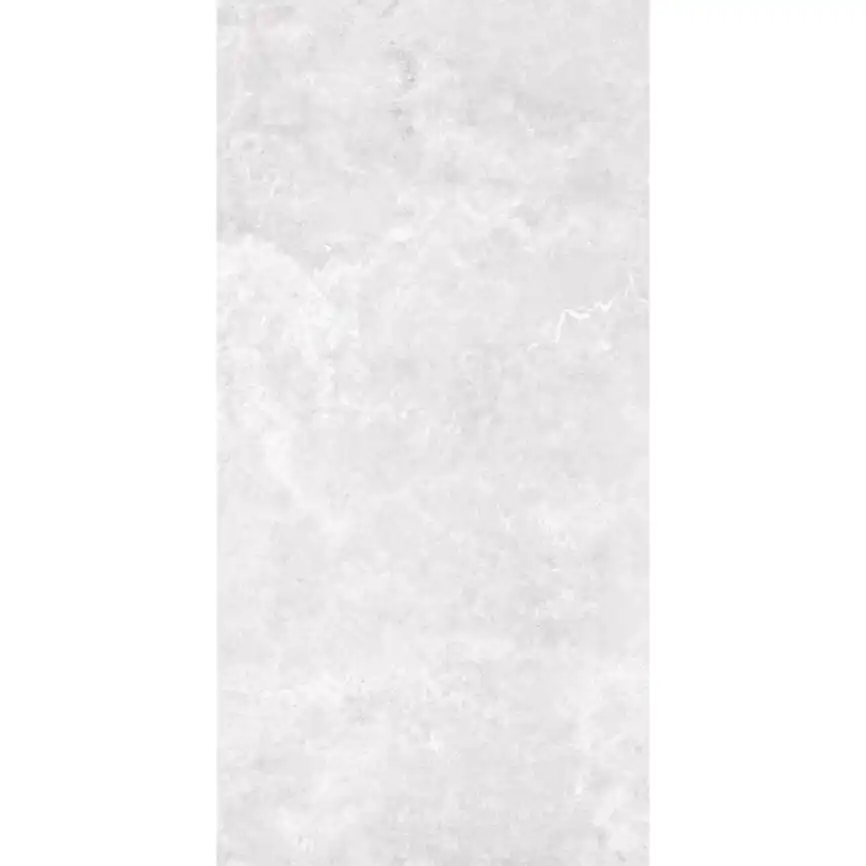 Керамогранит AVS by Italian Design Del Vento Ivory 60x120 Soft Smooth, серый фото 2