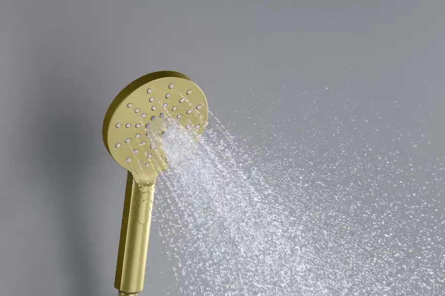 Душевая лейка Aquatek Оберон AQ2006BG, Золото матовое фото 5