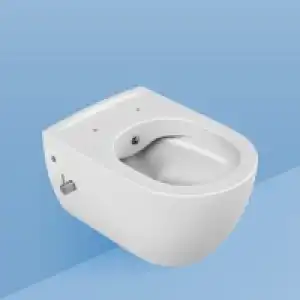Унитазы с биде